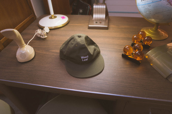 Editorial :: Mister Green