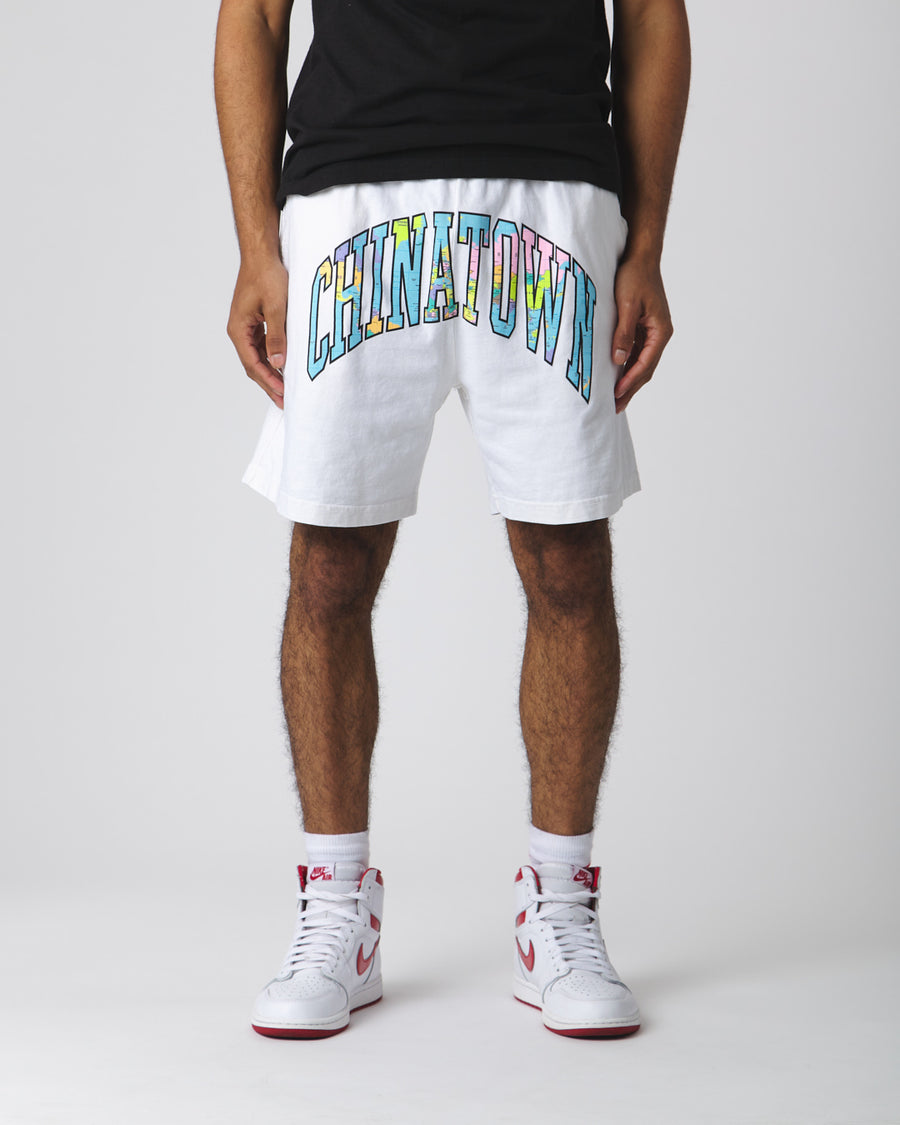 Globe Arc 2.0 Sweatshorts - White