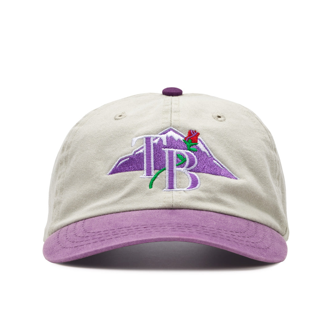 Civic Cap - Stone / Purple